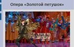 Опера «золотой петушок»: интересные факты, видео, содержание